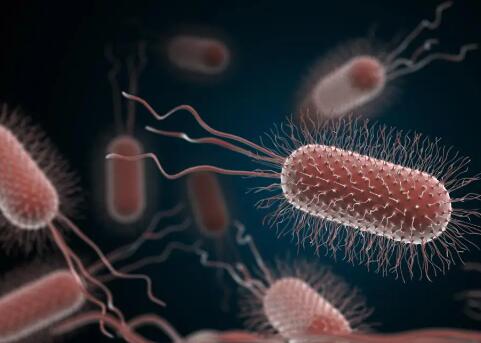 銀離子是如何殺死細(xì)菌的？