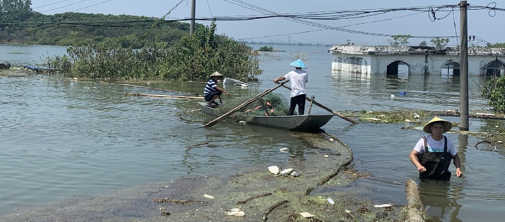 讓納米銀水溶液幫您解決水產(chǎn)養(yǎng)殖因細菌引起的各種問題！
