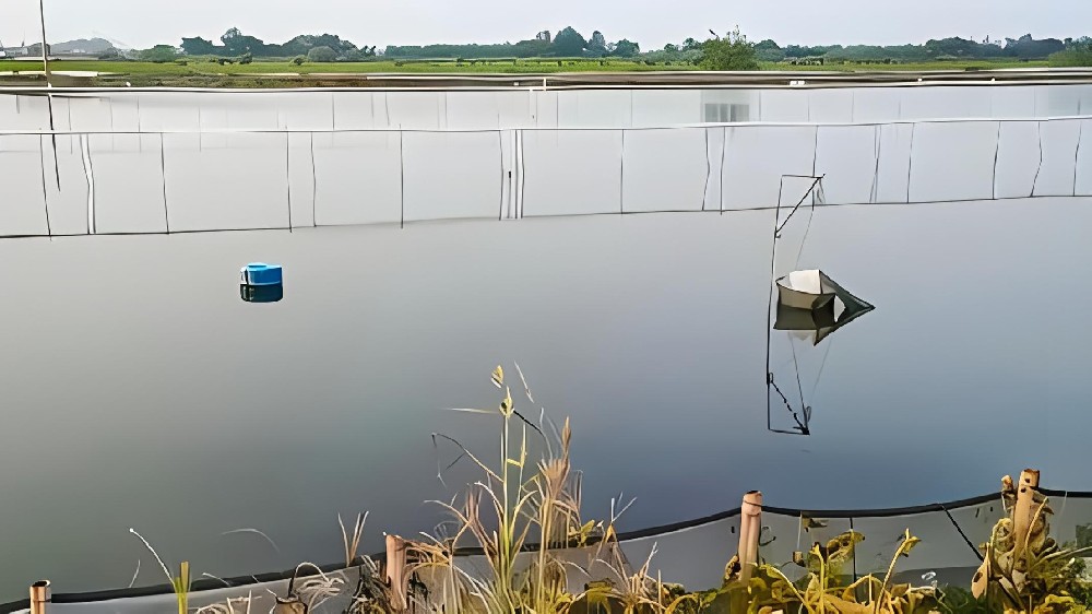 瑞森納米銀抗菌水溶液對「龍蝦養(yǎng)殖」能起到什么作用和效果？