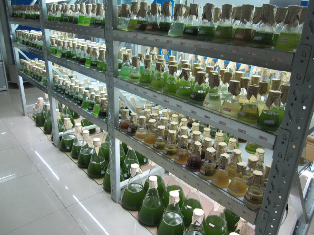 納米銀溶液在植物種植領(lǐng)域的應(yīng)用場景有哪些？